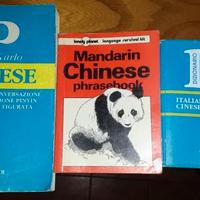Studiare il cinese