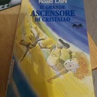 IL GRANDE ASCENSORE DI CRISTALLO