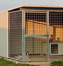 Box per cani