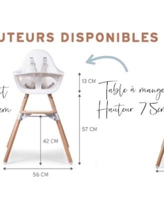 Seggiolone Evolutivo Childome Evolu 2
