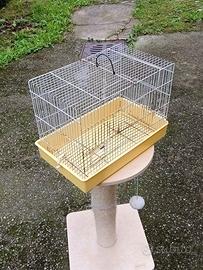 Gabbietta per diamantini