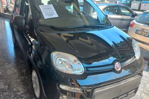 Fiat Panda 1.0 FireFly S&S Hybrid Pandina
