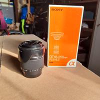obiettivo Sony 18/250.