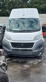  Ducato 2016 
Tipo motore F1CFA401A
Natural power