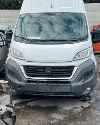  Ducato 2016 
Tipo motore F1CFA401A
Natural power