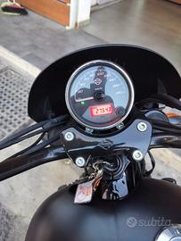 Harley Davidson street 