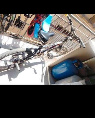 Bicicletta