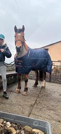 Coperta + tosatrice elettrica cavallo