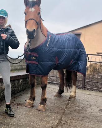 Coperta + tosatrice elettrica cavallo