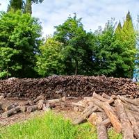 Legna da ardere all'ingrosso.