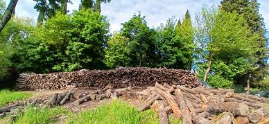 Legna da ardere all'ingrosso.