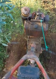 motozappa Lombardini 14cv cv