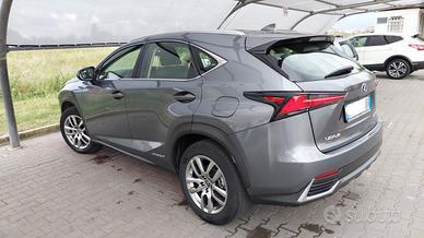 LEXUS NX 2ª serie - 2019