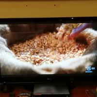 Tv LG 50 pollici al plasma