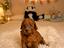 Immagine 3