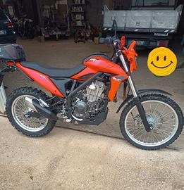 beta alp 4.0
