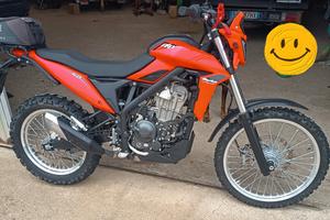 beta alp 4.0
