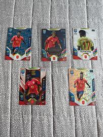 SET 5 CARTE NICO WILLIAMS 