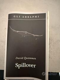 Spillover