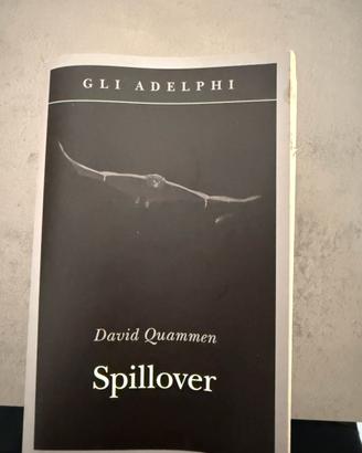 Spillover