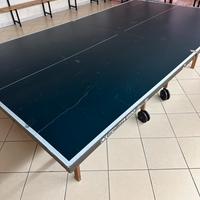 Tavolo da ping pong