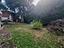 Immagine 27