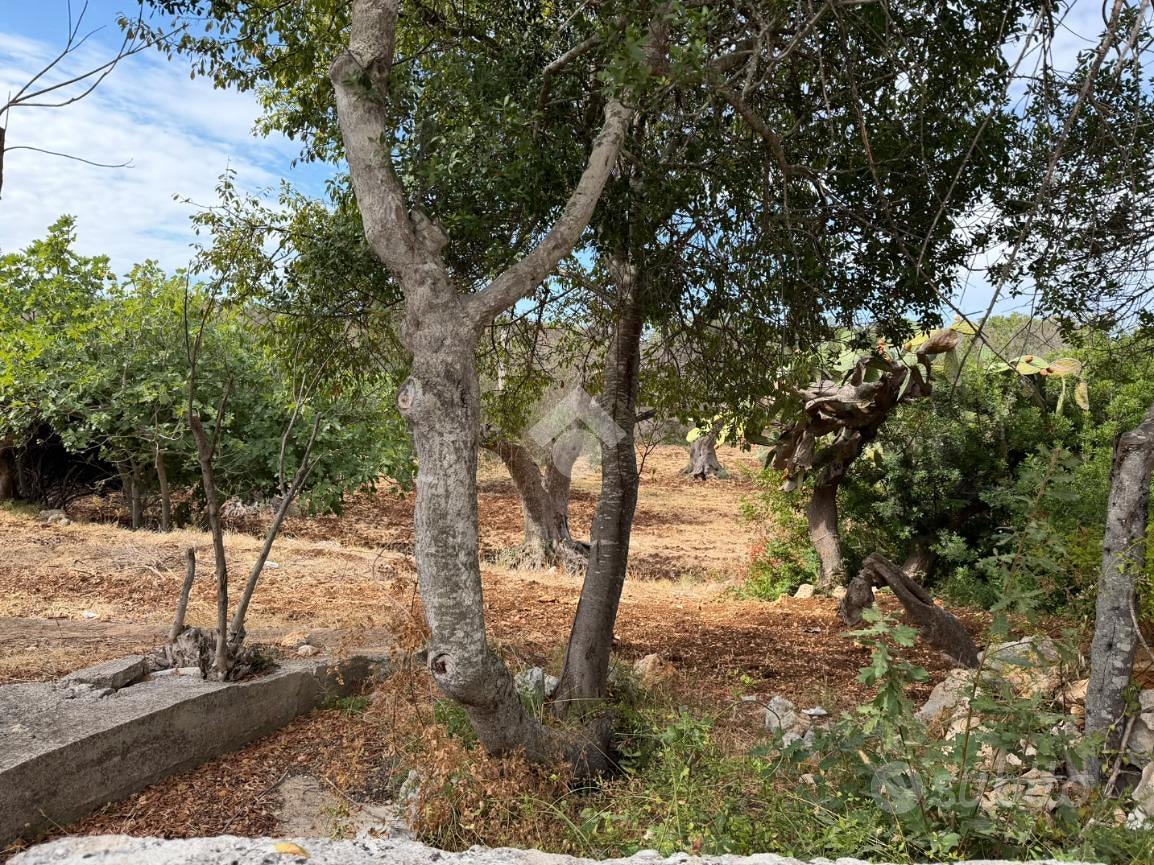 RUSTICO A CAROVIGNO - Altro
