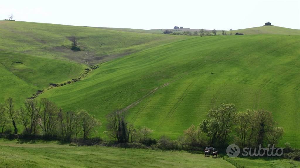 Rustico / Casale di 210 m² con più di 5 locali a T - Vista 3