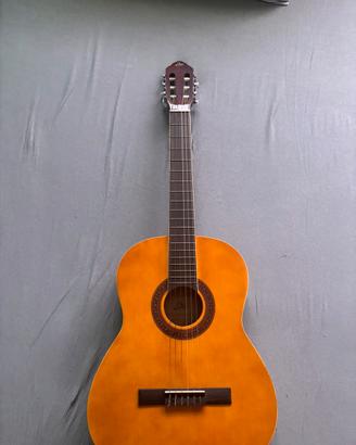 Chitarra eko