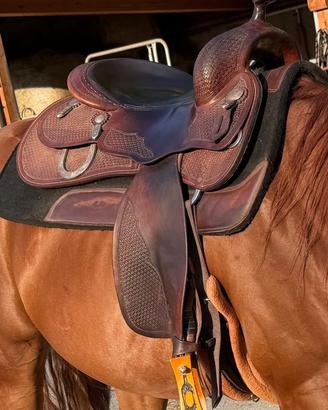 Sella reining Tripple W Platinum