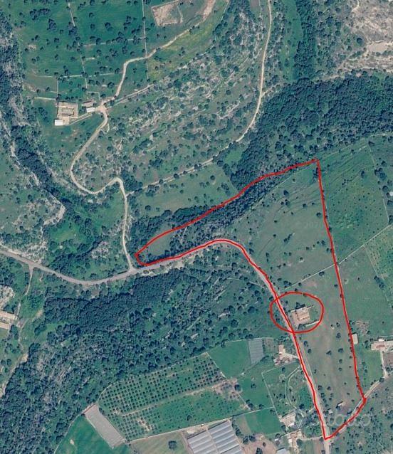 Tenuta panoramica con fabbricato vista mare - Altro