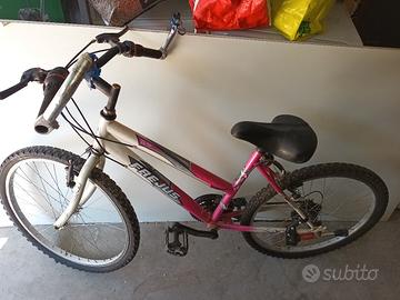 bici da dinna