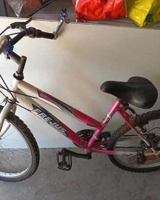 bici da dinna