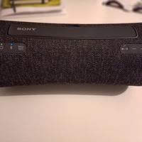 Cassa bluetooth Sony