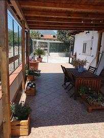 casa nel verde 