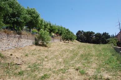 Terreno Edificabile 850 mq - Trinità d'Agultu