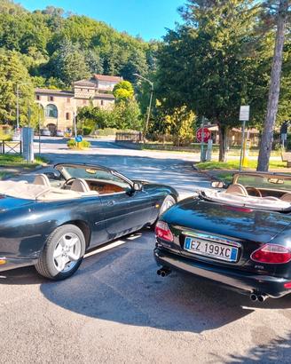 Jaguar XK8 Cabriolet v8