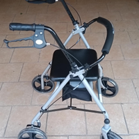 Deambulatore roller