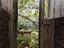 Immagine 26