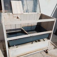 gabbia per coniglio