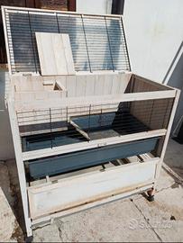 gabbia per coniglio