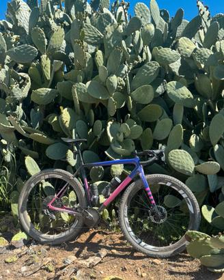 Specialized Crux 56 sram axs
