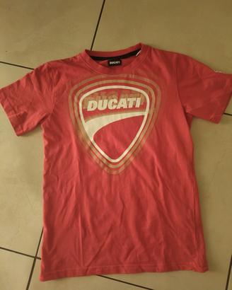 maglia cotone 