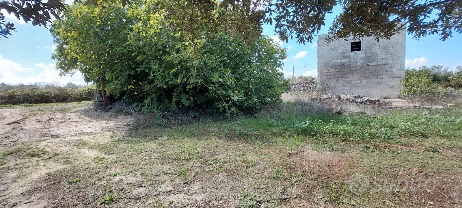 Ampio terreno con casolare - Vista 3