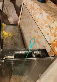 Acquario