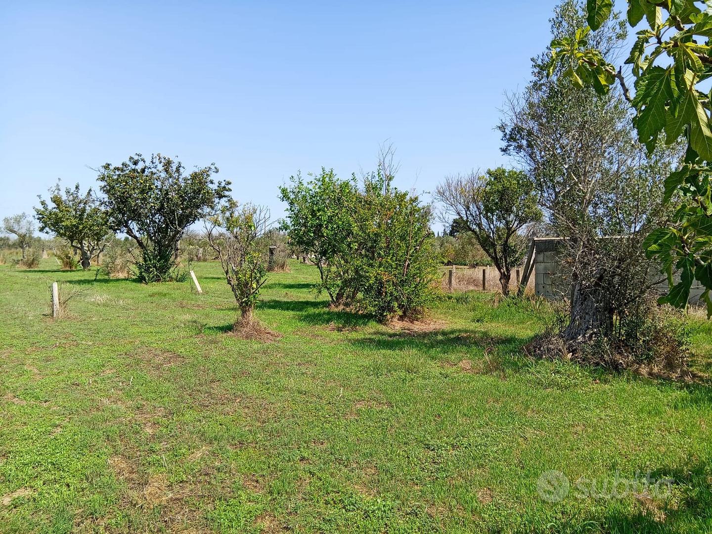 Terreno agricolo 32 aree - Vista 3