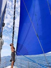 Bavaria 39 cruiser