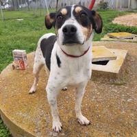 Simpaticissimo pierino