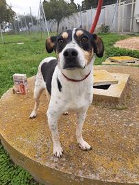 Simpaticissimo pierino