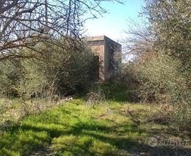 Terreno agricolo+casa zona Iper le Dune